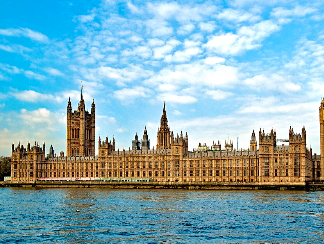 SAIFCA represented at House of Lords roundtable on AI chatbots and violence against women and girls